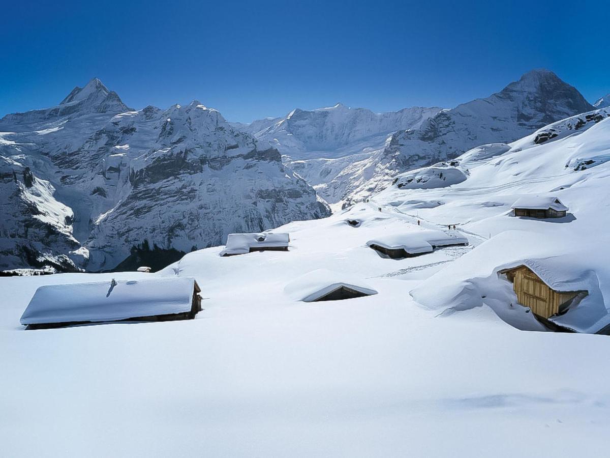 Apartment Chalet Butz By Interhome Grindelwald Extérieur photo